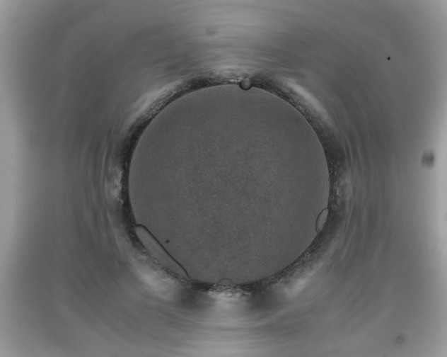 X0000091960693200709131227