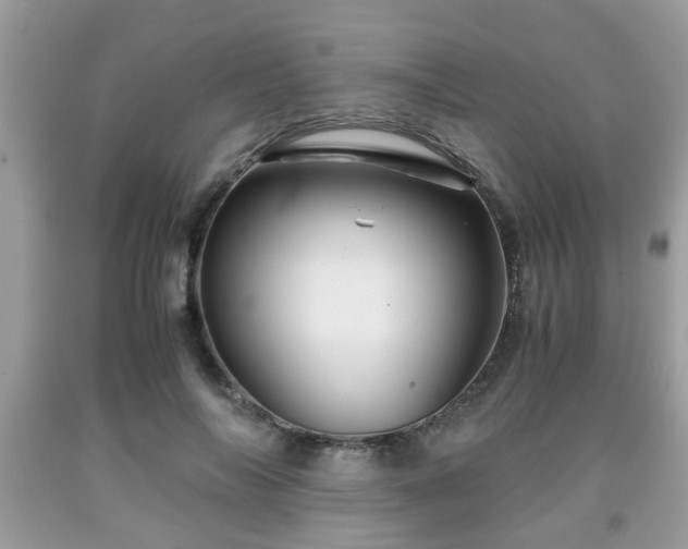 X0000091960694200709131227