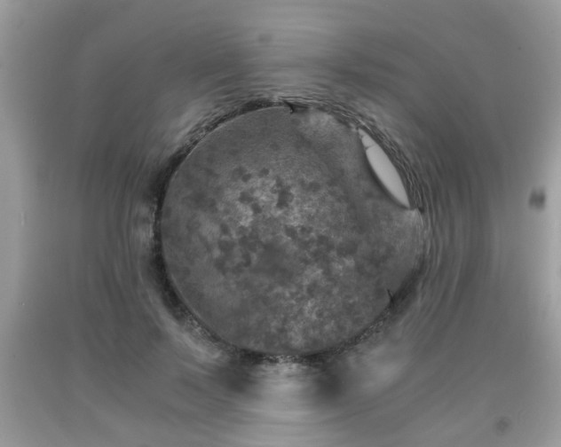 X0000091960695200709131227