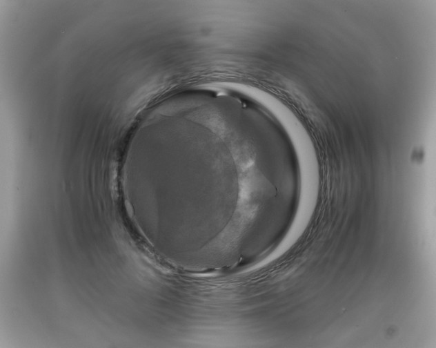 X0000091960696200709131227