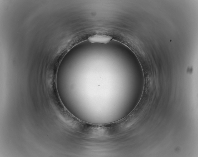 X0000091960698200709131227