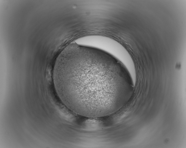 X0000091960699200709131227