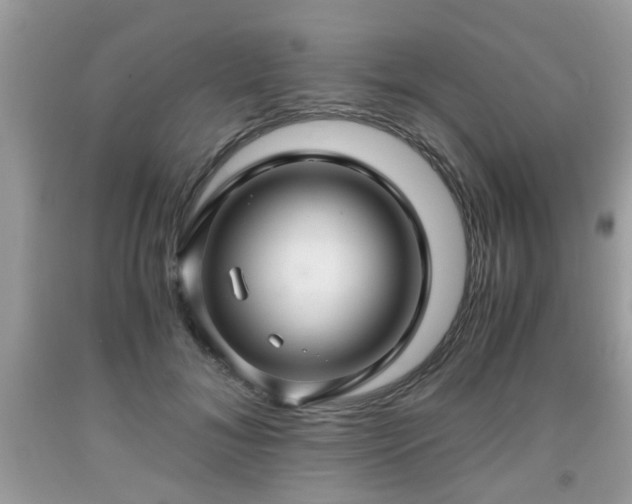 X0000091960700200709131227