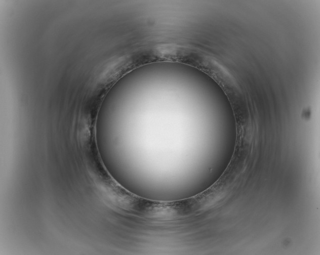 X0000091960702200709131227