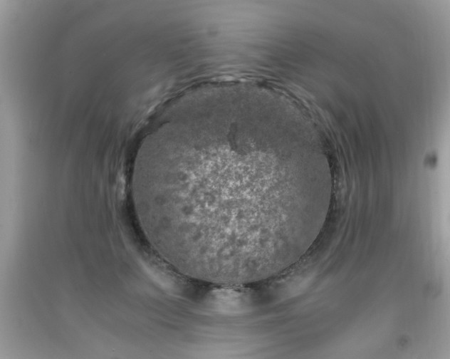 X0000091960703200709131227