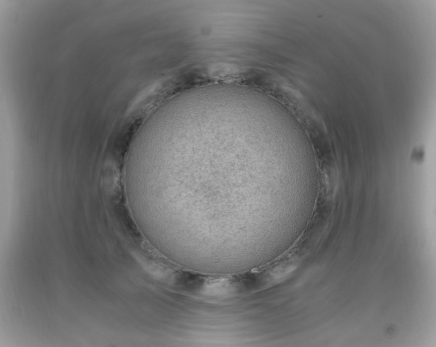 X0000091960705200709131227