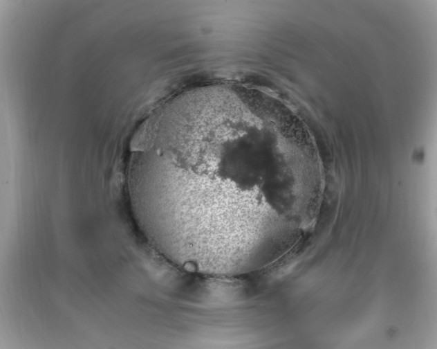 X0000091960707200709131227