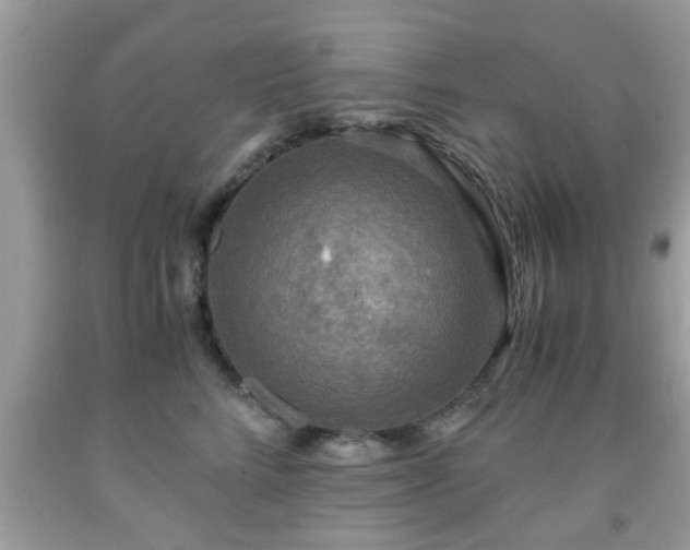 X0000091960712200709131227