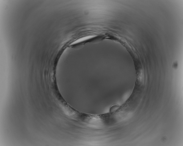 X0000091960715200709131227