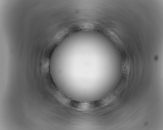 X0000091960717200709131227