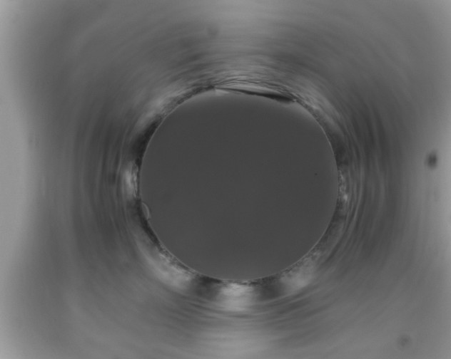 X0000091960718200709131227