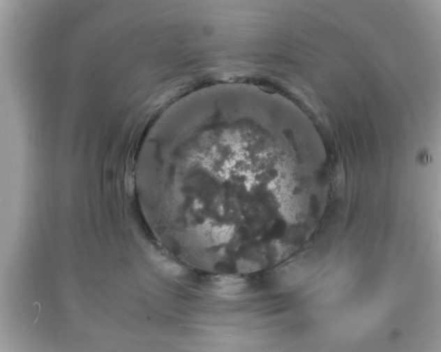 X0000091960719200709131226