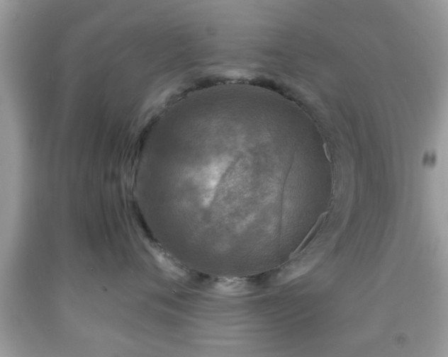 X0000091960720200709131226