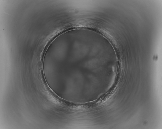 X0000091960721200709131226