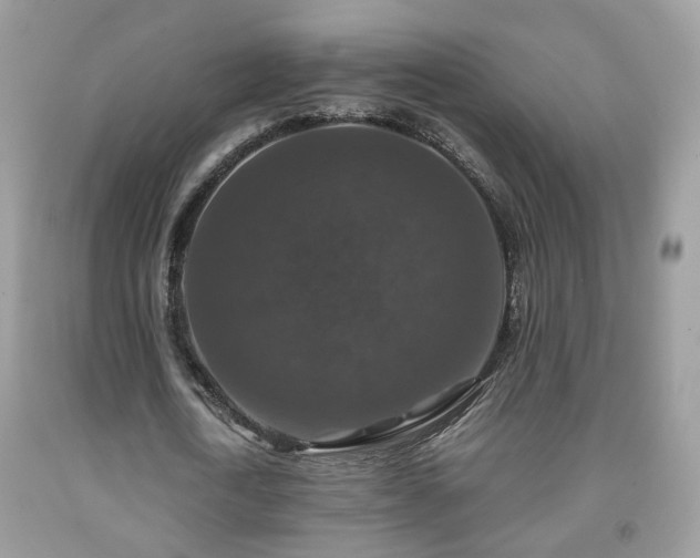 X0000091960722200709131226