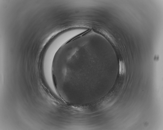 X0000091960723200709131226