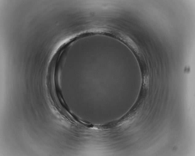 X0000091960724200709131226