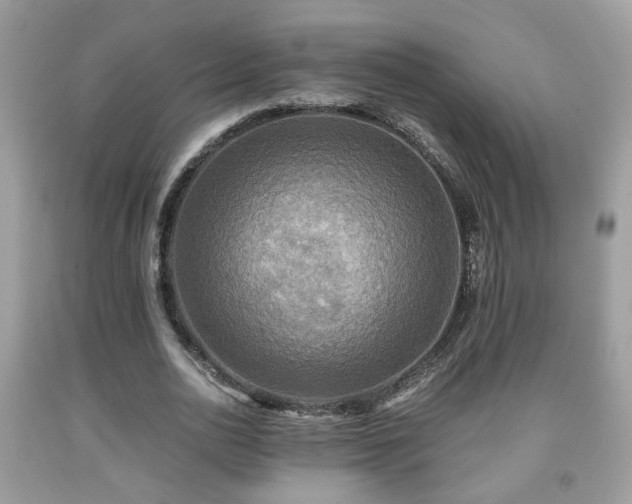 X0000091960726200709131226