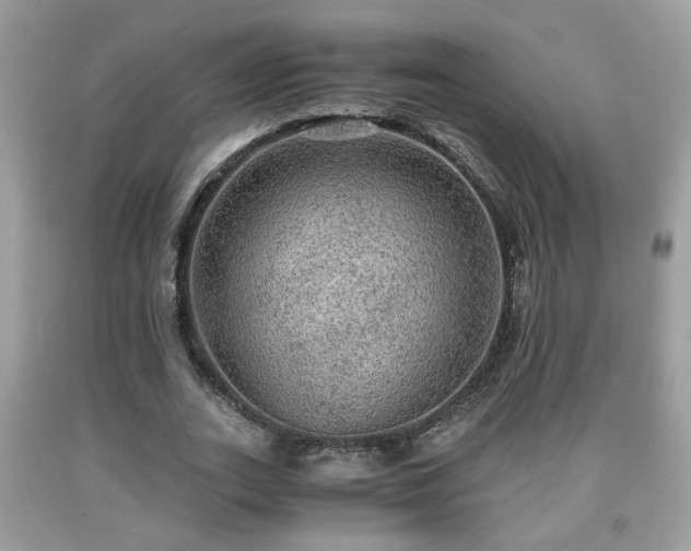 X0000091960727200709131226