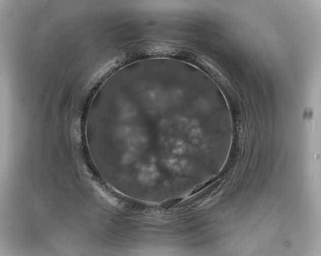 X0000091960729200709131226