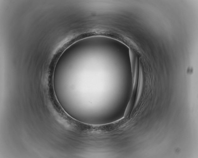 X0000091960730200709131226