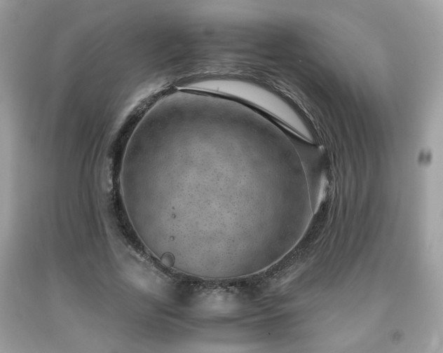 X0000091960731200709131226