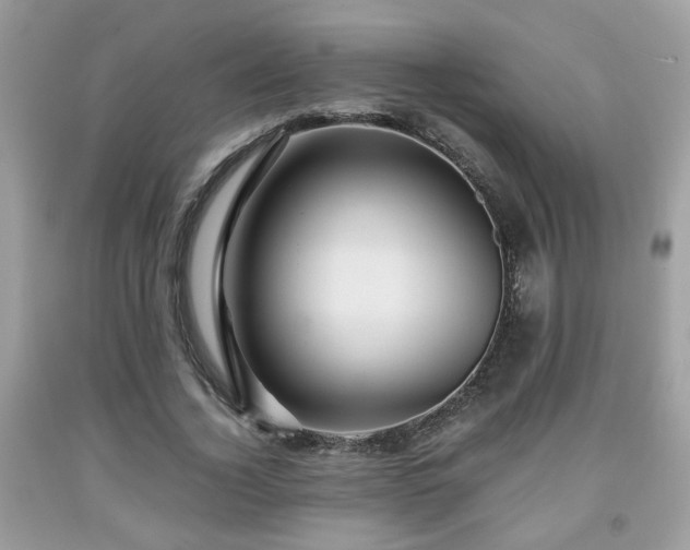 X0000091960732200709131226