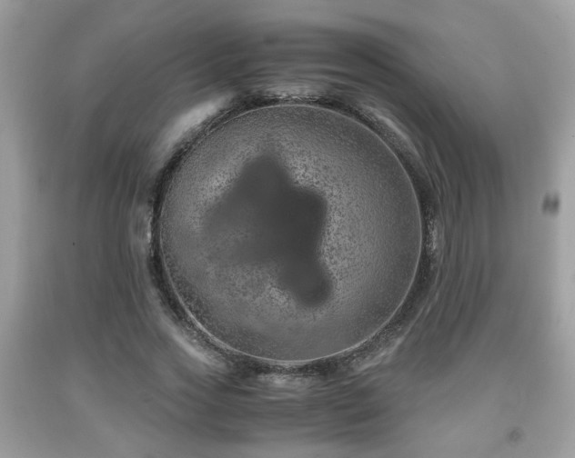 X0000091960733200709131226