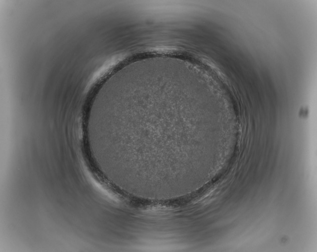 X0000091960734200709131226