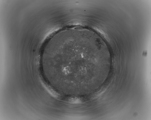 X0000091960735200709131226