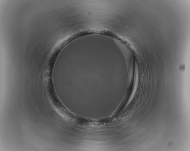 X0000091960736200709131226