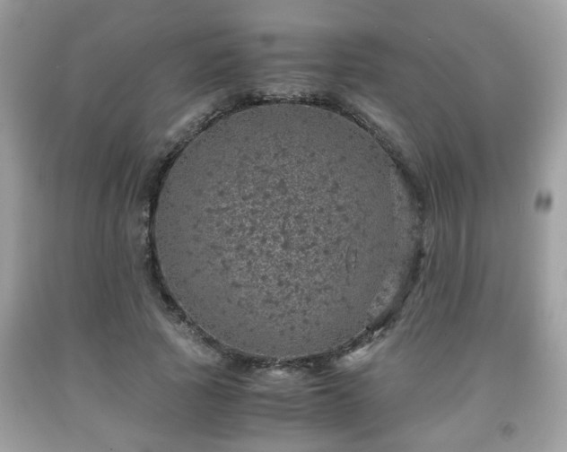 X0000091960737200709131226