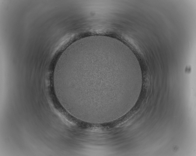 X0000091960738200709131226