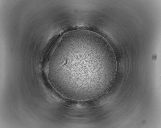 X0000091960739200709131226