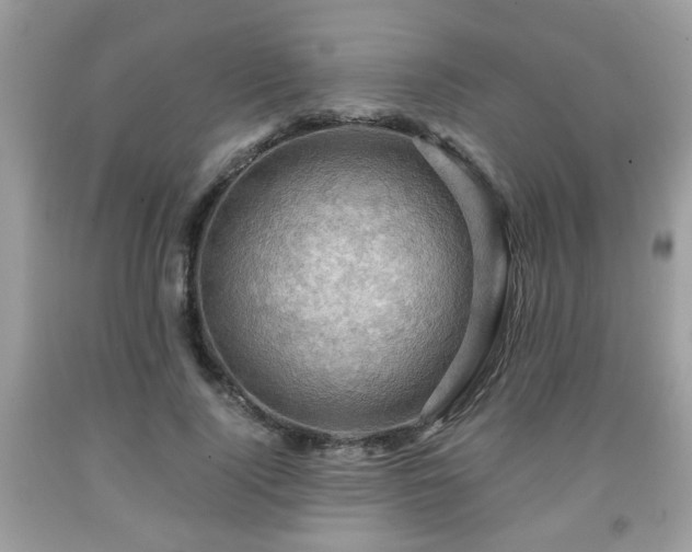 X0000091960740200709131226