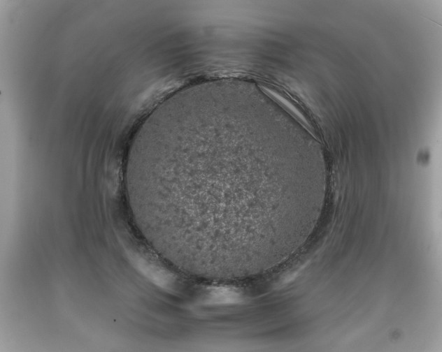 X0000091960741200709131226