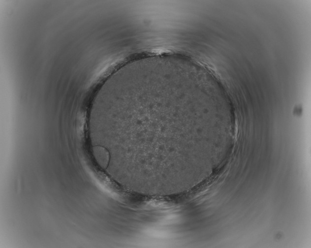 X0000091960742200709131226