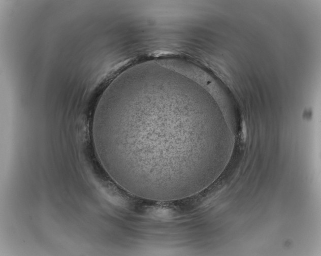 X0000091960743200709131226