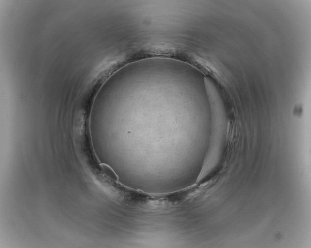 X0000091960744200709131226