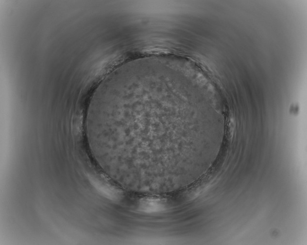 X0000091960745200709131226