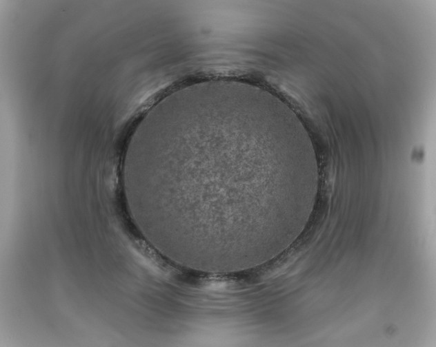 X0000091960746200709131226