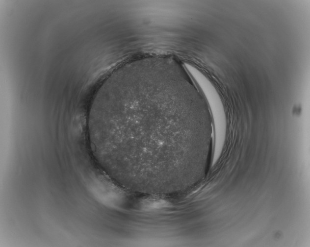 X0000091960747200709131226