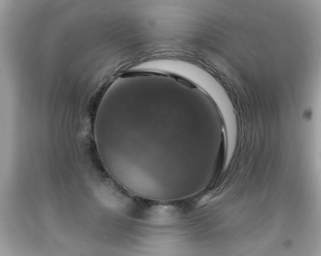 X0000091960748200709131226