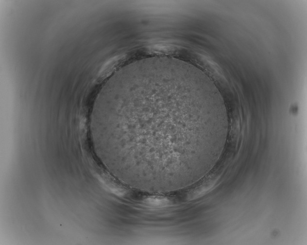 X0000091960749200709131226