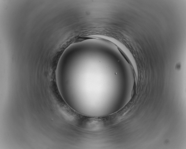 X0000091960750200709131226