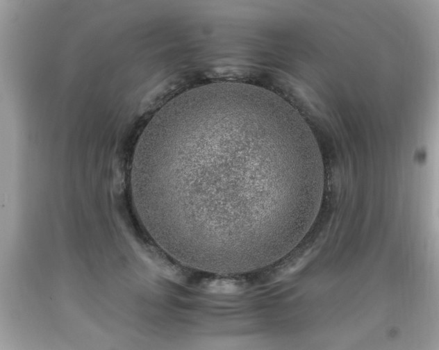 X0000091960751200709131226