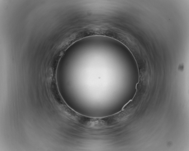 X0000091960752200709131226