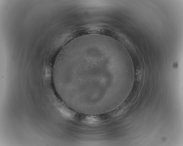 X0000091960753200709131226