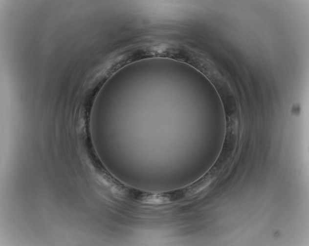 X0000091960754200709131226