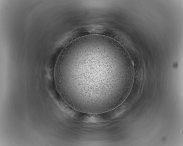 X0000091960755200709131226